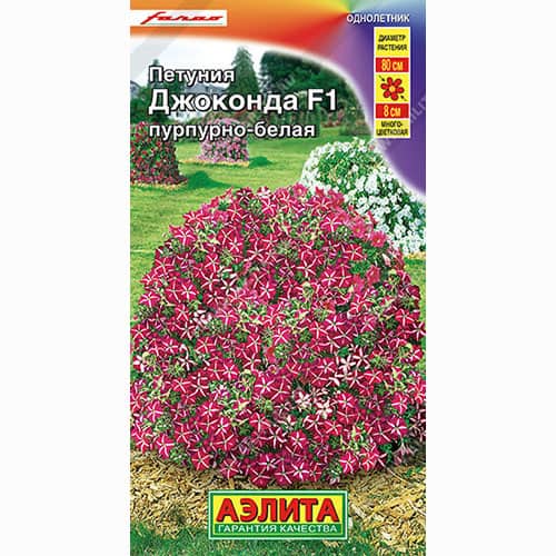 Петуния Джоконда пурпурно-белая F1 Аэлита изображение 1 артикул 99057