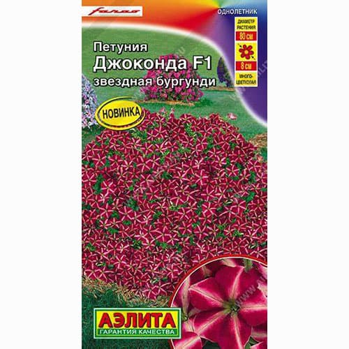Петуния Джоконда звездная бургунди F1 Аэлита артикул фото 1 Петуния Джоконда звездная бургунди F1 Аэлита изображение 1 артикул 99047