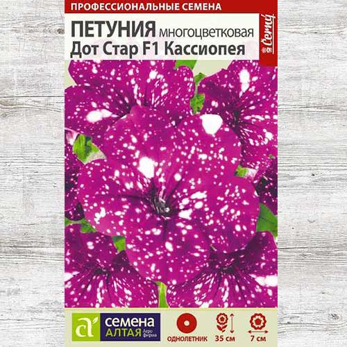 Петуния Дот Стар Кассиопея F1 артикул фото 1 Петуния Дот Стар Кассиопея F1 изображение 1 артикул 81722