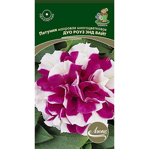 Петуния Дуо Роуз энд Вайт Поиск артикул фото 1 Петуния Дуо Роуз энд Вайт Поиск изображение 1 артикул 83194