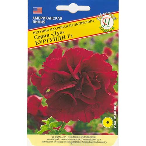 Петуния Дуо Бургунди F1 Престиж артикул фото 1 Петуния Дуо Бургунди F1 Престиж изображение 1 артикул 81391