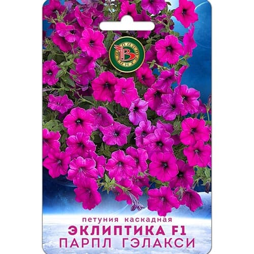 Петуния Эклиптика Парпл Гэлакси F1 Биотехника изображение 1 артикул 91604