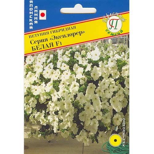 Петуния Эксплорер Белая F1 Престиж артикул фото 1 Петуния Эксплорер Белая F1 Престиж изображение 1 артикул 81369