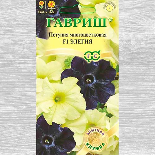 Петуния Элегия F1, смесь окрасок Гавриш артикул фото 1 Петуния Элегия F1, смесь окрасок Гавриш изображение 1 артикул 82423