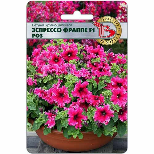 Петуния Эспрессо Фраппе Роз F1 Биотехника артикул фото 1 Петуния Эспрессо Фраппе Роз F1 Биотехника изображение 1 артикул 84672