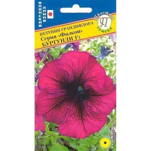 Петуния Фриллитуния Бургунди F1 Престиж изображение 1 артикул 71517