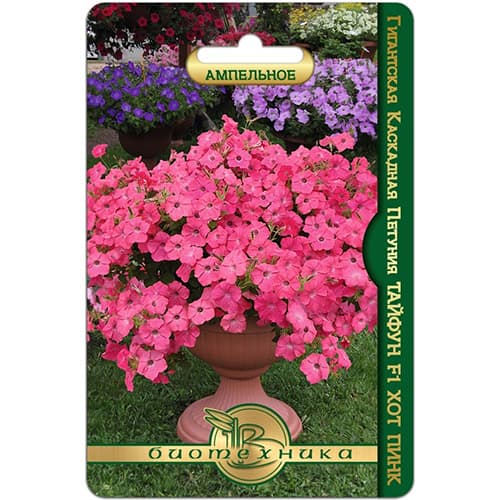 Петуния гигантская каскадная Тайфун Хот Пинк F1 Биотехника изображение 1 артикул 97348