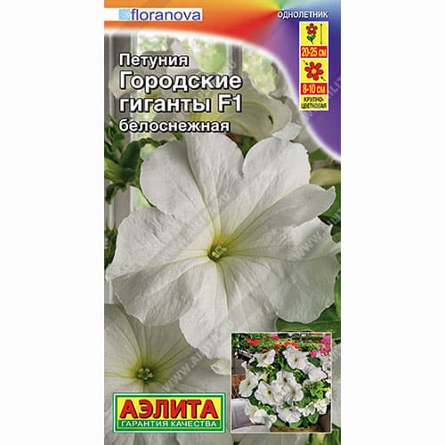 Петуния Городские гиганты белоснежная F1 Аэлита артикул фото 1 Петуния Городские гиганты белоснежная F1 Аэлита изображение 1 артикул 99040