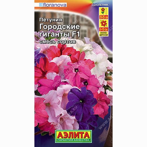 Петуния Городские гиганты F1, смесь окрасок Аэлита артикул фото 1 Петуния Городские гиганты F1, смесь окрасок Аэлита изображение 1 артикул 99045