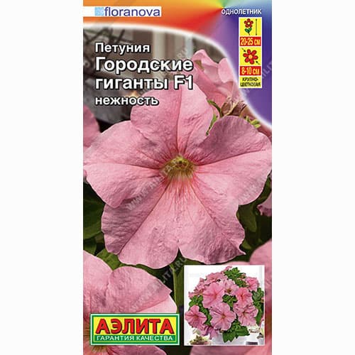 Петуния Городские гиганты нежность F1 Аэлита артикул фото 1 Петуния Городские гиганты нежность F1 Аэлита изображение 1 артикул 99042