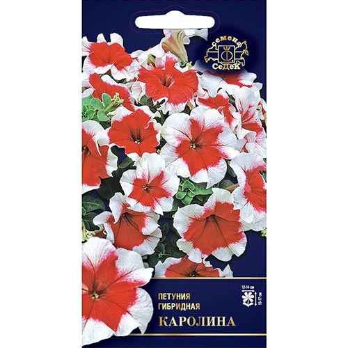 Петуния Каролина F1 Седек изображение 1 артикул 93940