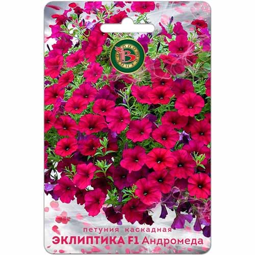 Петуния каскадная Эклиптика Андромеда F1 Биотехника артикул фото 1 Петуния каскадная Эклиптика Андромеда F1 Биотехника изображение 1 артикул 40440