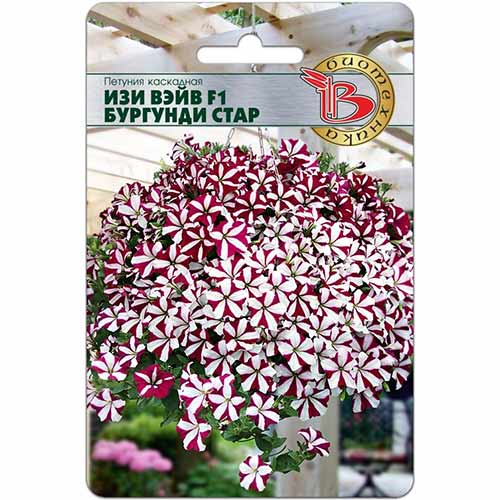 Петуния Изи Вэйв Бургунди Стар F1 Биотехника изображение 1 артикул 74115