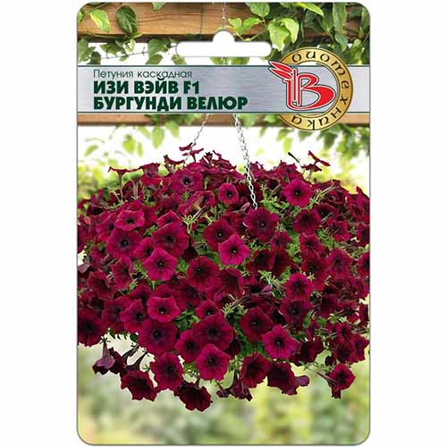 Петуния каскадная Изи Вэйв Бургунди Велюр F1 Биотехника изображение 1 артикул 74841