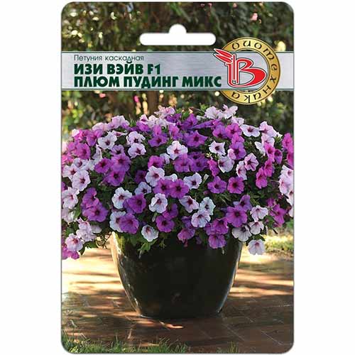 Петуния каскадная Изи Вэйв Плюм Пудинг F1 Биотехника изображение 1 артикул 74117