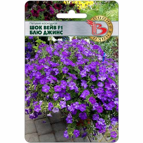 Петуния каскадная Шок Вейв Блю Джинс F1 Биотехника изображение 1 артикул 40437