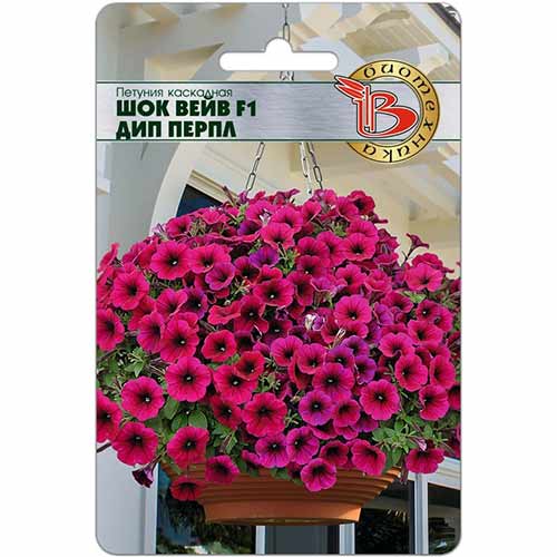 Петуния Шок Вейв Дип Перпл F1 Биотехника изображение 1 артикул 74122