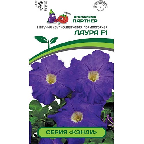 Петуния Кэнди Лаура F1 Партнер артикул фото 1 Петуния Кэнди Лаура F1 Партнер изображение 1 артикул 82996