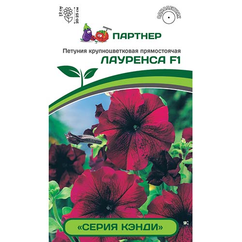 Петуния Кэнди Лауренса F1 Партнер артикул фото 1 Петуния Кэнди Лауренса F1 Партнер изображение 1 артикул 82997