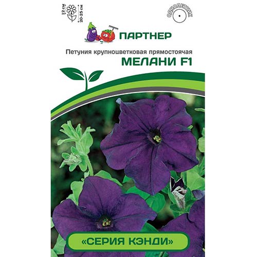 Петуния Кэнди Мелани F1 Партнер изображение 1 артикул 82998