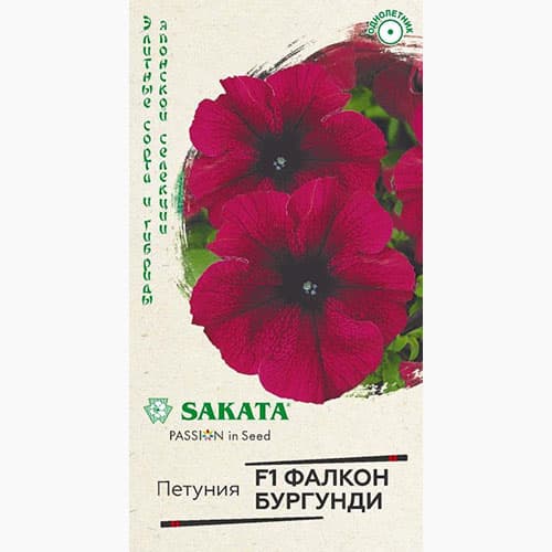 Петуния крупноцветковая Фалкон Бургунди F1 Гавриш артикул фото 1 Петуния крупноцветковая Фалкон Бургунди F1 Гавриш изображение 1 артикул 97794