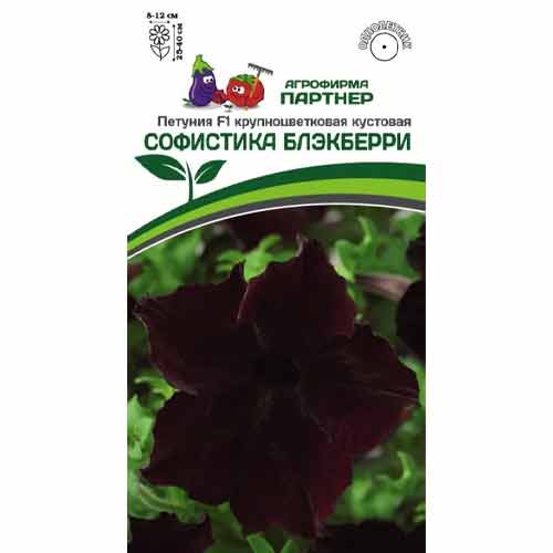 Петуния крупноцветковая кустовая Софистика Блэкберри F1 Партнер изображение 1 артикул 97241