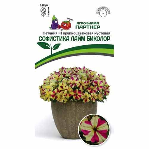 Петуния крупноцветковая кустовая Софистика Лайм Биколор F1 Партнер изображение 1 артикул 97242