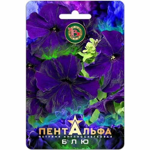 Петуния крупноцветковая Пентальфа Блю F1 Биотехника артикул фото 1 Петуния крупноцветковая Пентальфа Блю F1 Биотехника изображение 1 артикул 40442