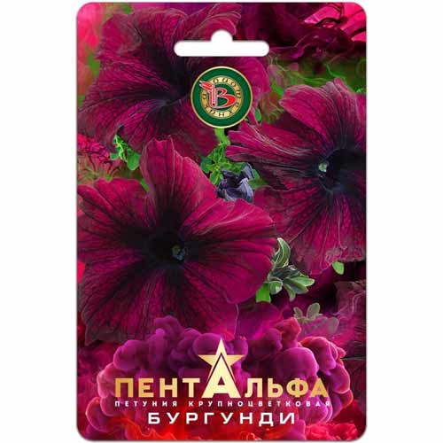 Петуния крупноцветковая Пентальфа Бургунди F1 Биотехника артикул фото 1 Петуния крупноцветковая Пентальфа Бургунди F1 Биотехника изображение 1 артикул 40443