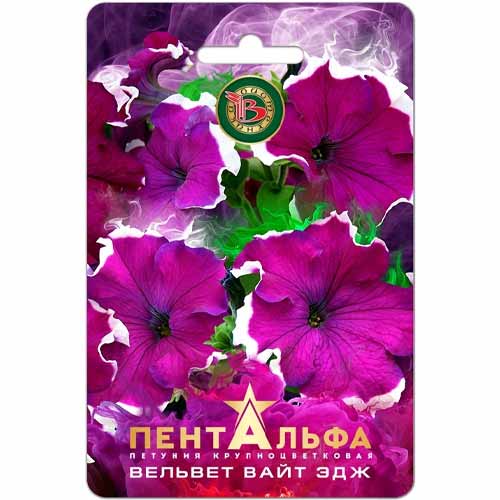 Петуния крупноцветковая Пентальфа Вельвет Вайт Эдж F1 Биотехника изображение 1 артикул 40444