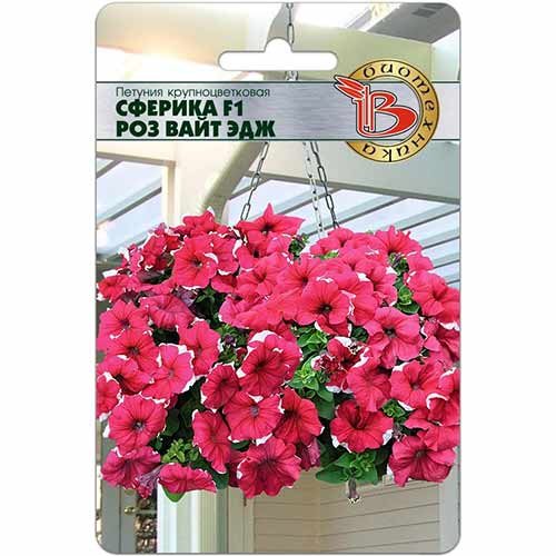 Петуния Сферика Роз Вайт Эдж F1 Биотехника изображение 1 артикул 74850