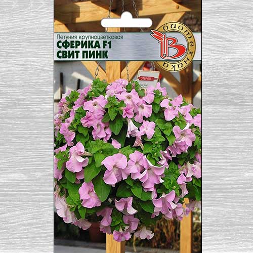 Петуния Сферика Свит Пинк F1 изображение 1 артикул 74853