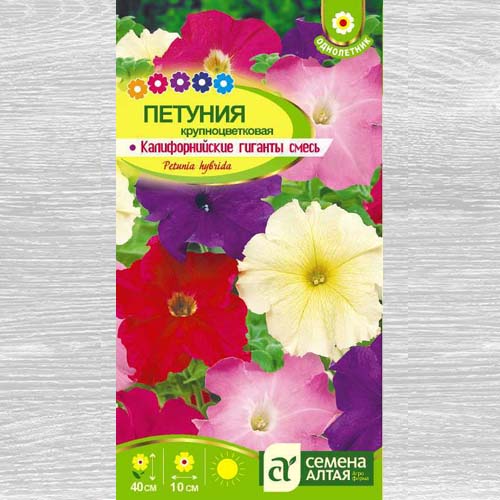 Петуния крупоноцветковая Калифорнийские гиганты, смесь окрасок артикул фото 1 Петуния крупоноцветковая Калифорнийские гиганты, смесь окрасок изображение 1 артикул 78168