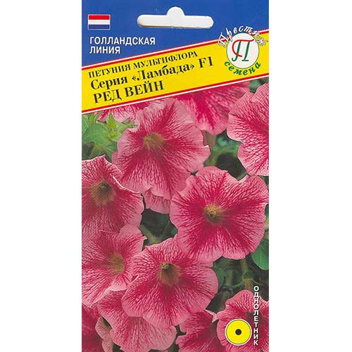 Петуния Ламбада Ред Вейн F1 Престиж артикул фото 1 Петуния Ламбада Ред Вейн F1 Престиж изображение 1 артикул 71546