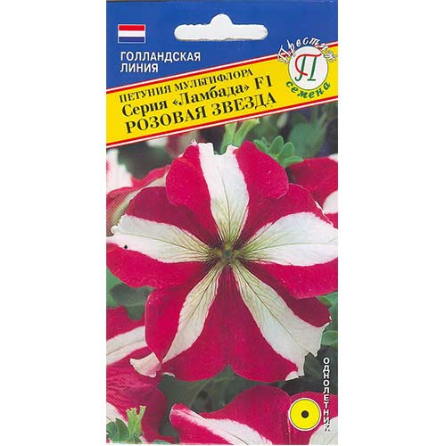 Петуния Ламбада Розовая звезда F1 Престиж артикул фото 1 Петуния Ламбада Розовая звезда F1 Престиж изображение 1 артикул 71547