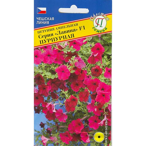 Петуния Лавина Пурпурный F1 Престиж артикул фото 1 Петуния Лавина Пурпурный F1 Престиж изображение 1 артикул 84517