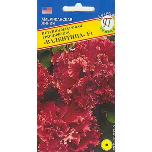 Петуния махровая Валентина F1 Престиж изображение 1 артикул 65859