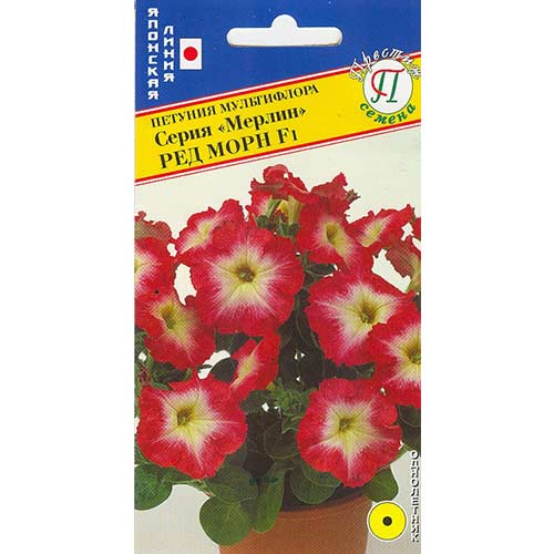 Петуния Мерлин Ред Морн F1 Престиж артикул фото 1 Петуния Мерлин Ред Морн F1 Престиж изображение 1 артикул 71554