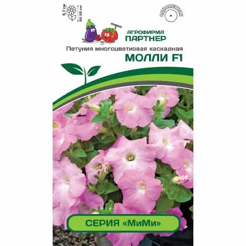 Петуния многоцветковая каскадная МиМи Молли F1 Партнер изображение 1 артикул 82976