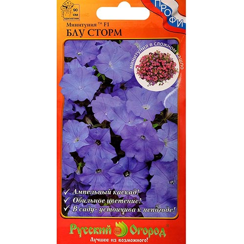 Петуния минитуния Блу Сторм F1 НК изображение 1 артикул 92604