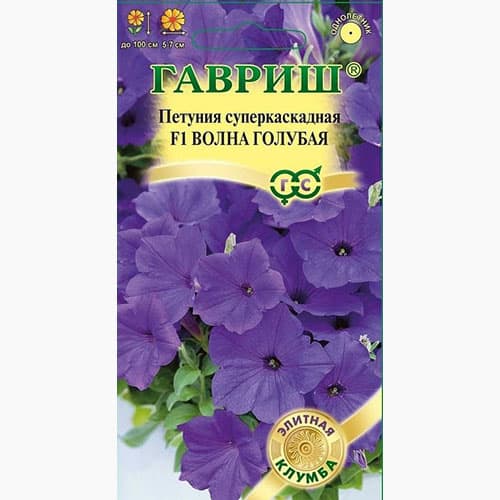 Петуния (минитуния) суперкаскадная Волна голубая F1 Гавриш артикул фото 1 Петуния (минитуния) суперкаскадная Волна голубая F1 Гавриш изображение 1 артикул 97763