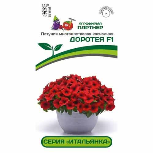 Петуния многоцветковая каскадная Итальянка Доротея F1 Партнер изображение 1 артикул 73551