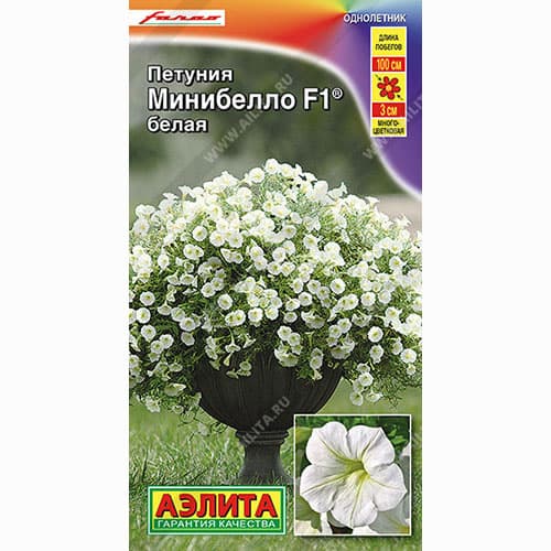 Петуния многоцветковая Минибелло белая F1 Аэлита изображение 1 артикул 99098