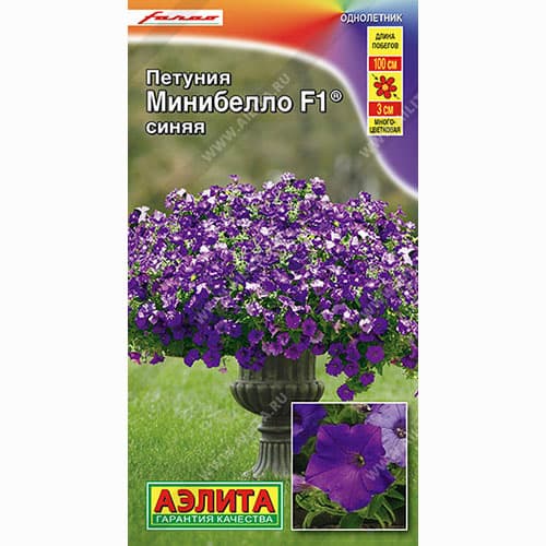 Петуния многоцветковая Минибелло синяя F1 Аэлита изображение 1 артикул 99103