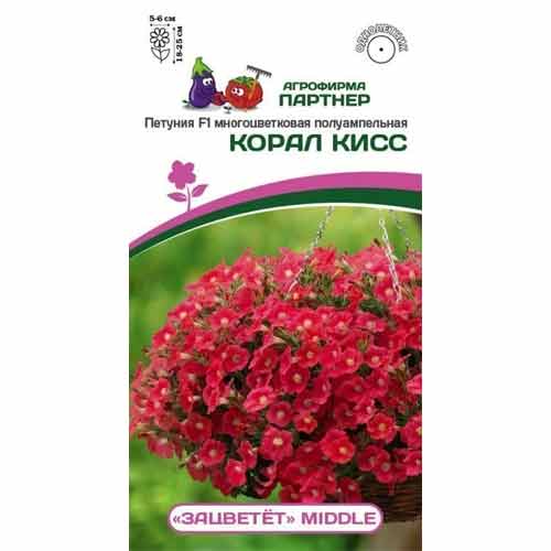 Петуния многоцветковая полуампельная Зацветёт Middl Корал Кисс F1 Партнер изображение 1 артикул 97216