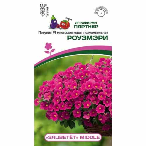 Петуния многоцветковая полуампельная Зацветёт Middl Роузмэри F1 Партнер артикул фото 1 Петуния многоцветковая полуампельная Зацветёт Middl Роузмэри F1 Партнер изображение 1 артикул 97217