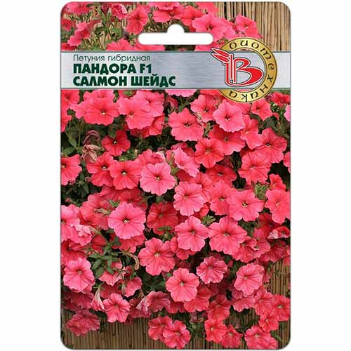 Петуния Пандора Салмон Шейдс F1 Биотехника артикул фото 1 Петуния Пандора Салмон Шейдс F1 Биотехника изображение 1 артикул 84648