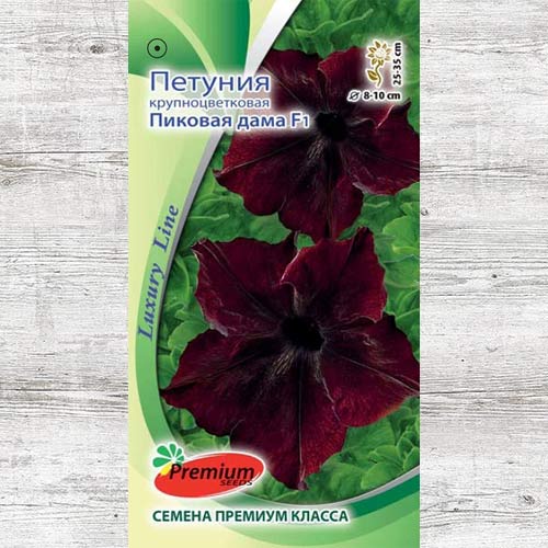 Петуния Пиковая дама F1 изображение 1 артикул 83931