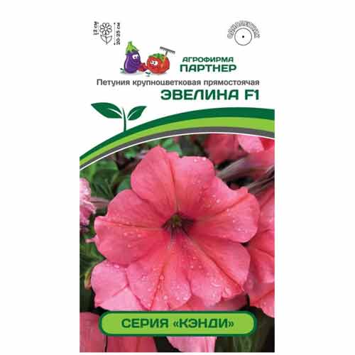 Петуния прямостоячая Кэнди Эвелина F1 Партнер изображение 1 артикул 40744