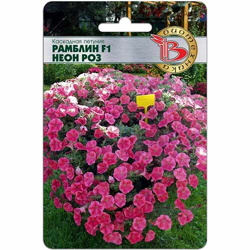 Петуния Рамблин Неон Роз F1 Биотехника изображение 1 артикул 84660